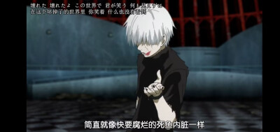 #东京吃货#金木研