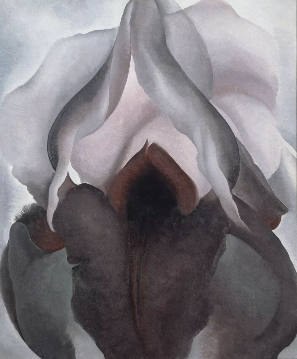 乔治亚·欧姬芙《黑鸢尾》Black IrisGeorgia O'Keeffe1926