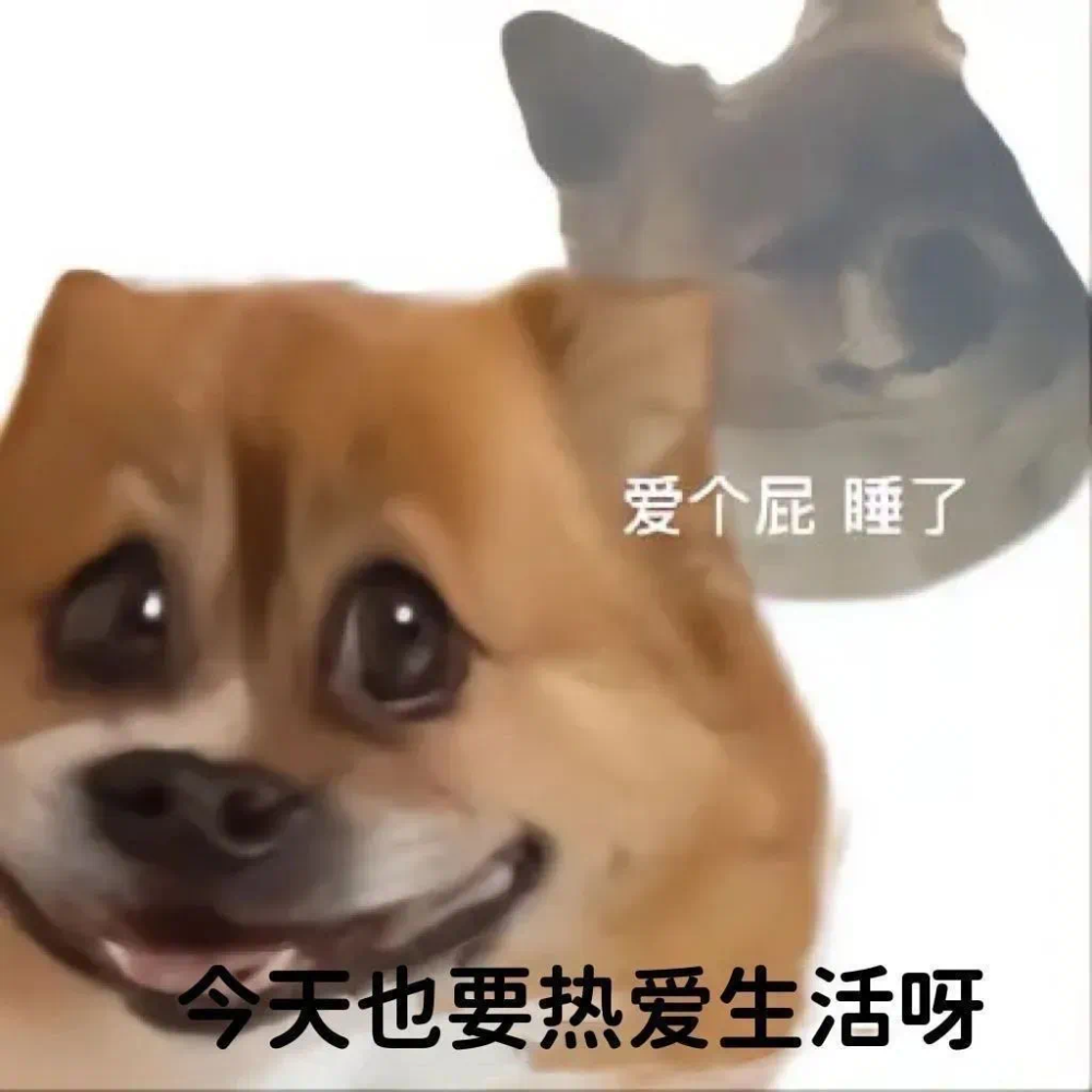 美丽的精神状态