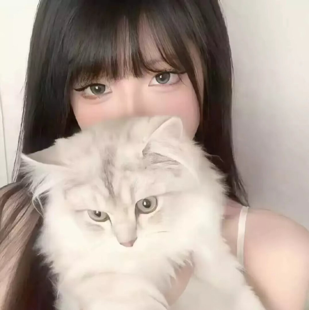 执着太久的东西或许本身就没有意义 #抱猫女头 #至少还有你