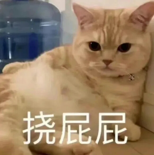 猫猫表情包