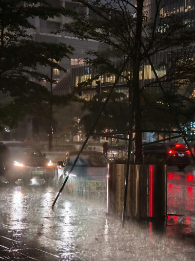 暴雨 广州 8.30