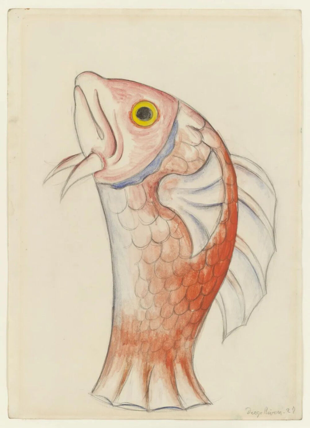 Red Snapper,1927,Watercolor and pencil on paper,34.9x24.1cm
