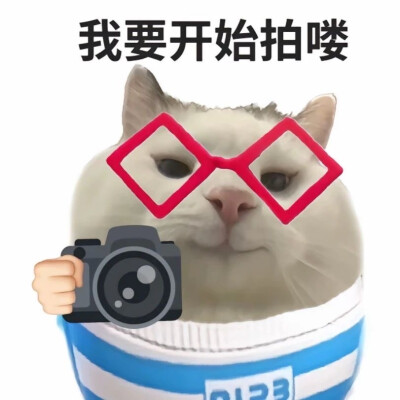 猫咪版WeChat小语k表情包