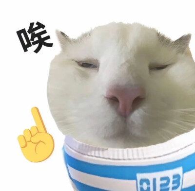 猫咪版WeChat小语k表情包