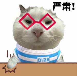表情包