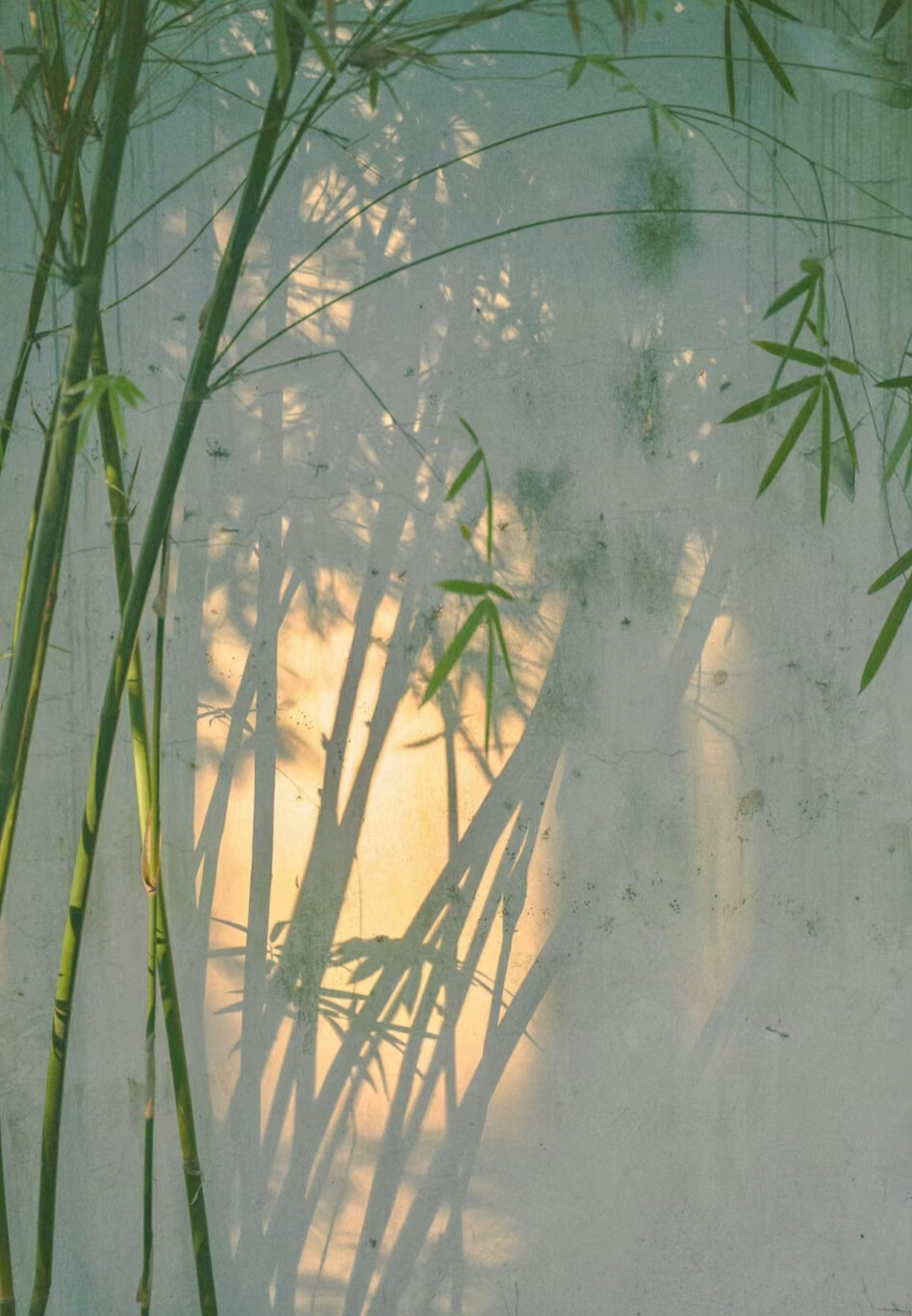 古风竹子背景图图源小红薯:阿玫小酱当当