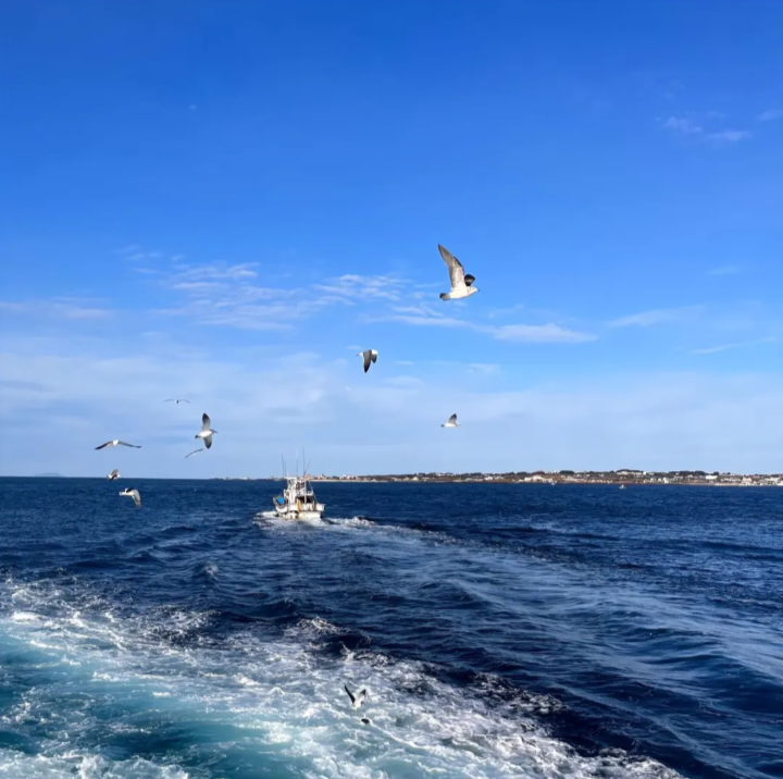 海的背景图