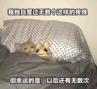 小狗日记