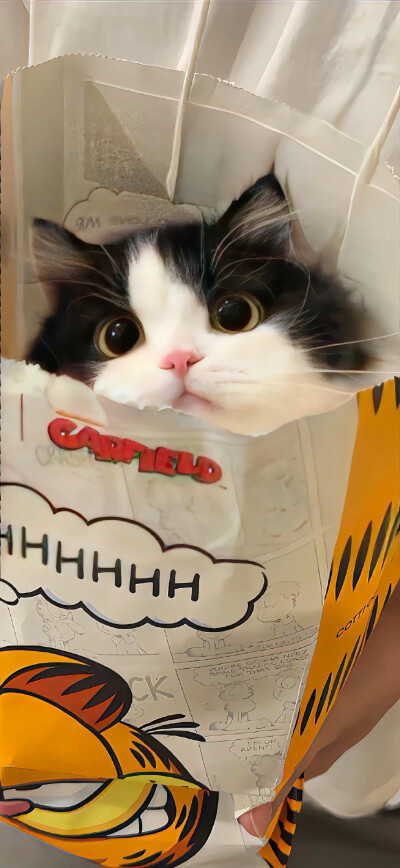 必应手机版聊天=微软必应怎么聊天