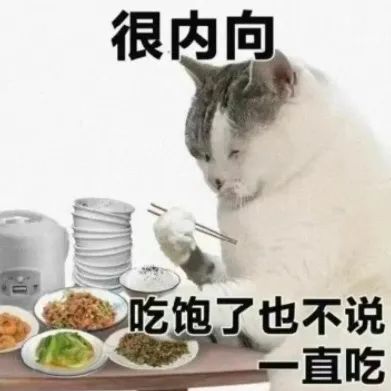 猫猫表情包