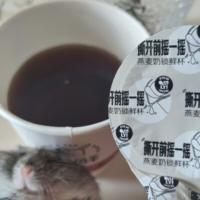 鼠鼠燕麦奶茶喵喵喵