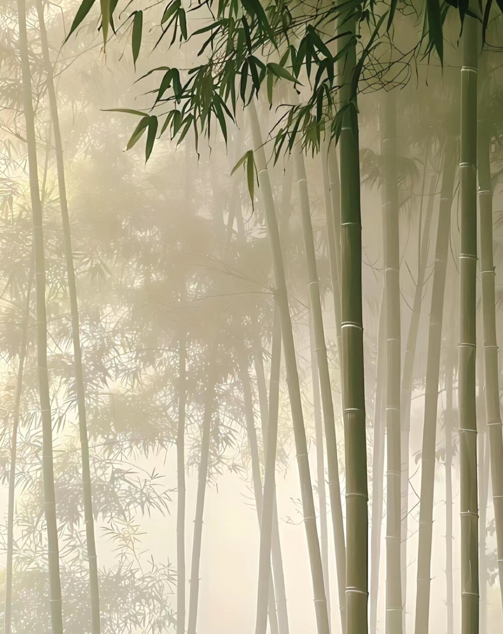 古风竹子背景图