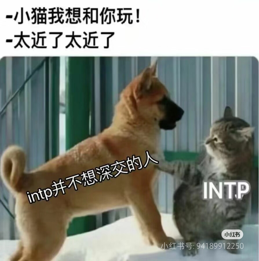 INTP梗图