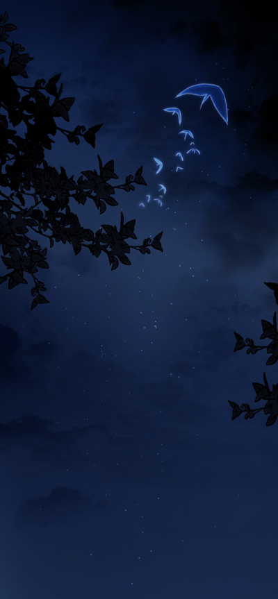 夜晚