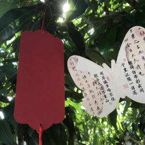 默认专辑