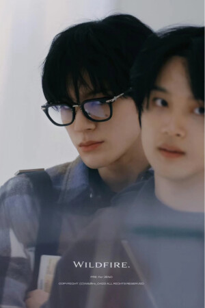 划划世界迷人眼