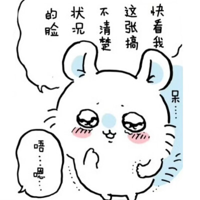 飞鼠