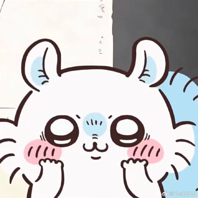 飞鼠