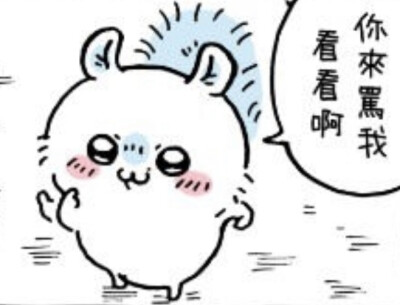 飞鼠