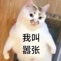 猫猫表情包