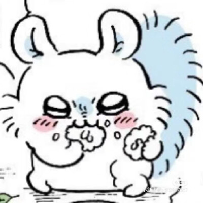 飞鼠