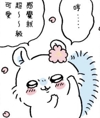 飞鼠