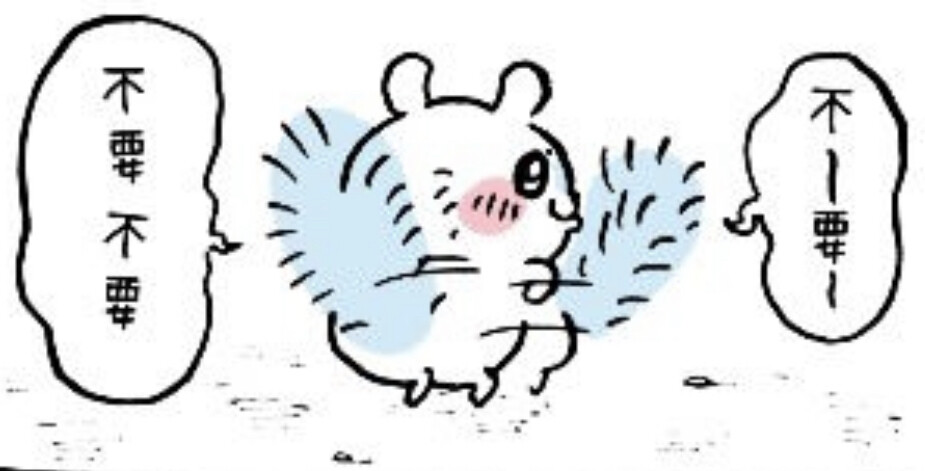 飞鼠