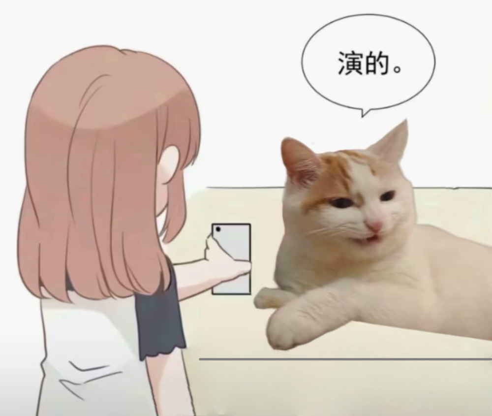 猫咪表情包