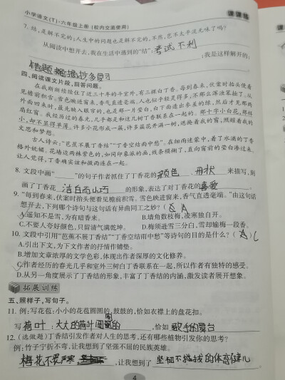 丁香结