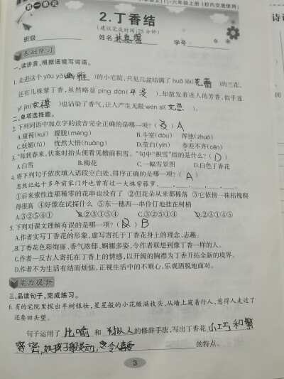 丁香结