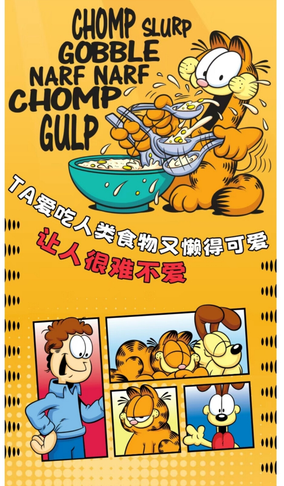 菲常回忆 ~ 加菲猫 网图