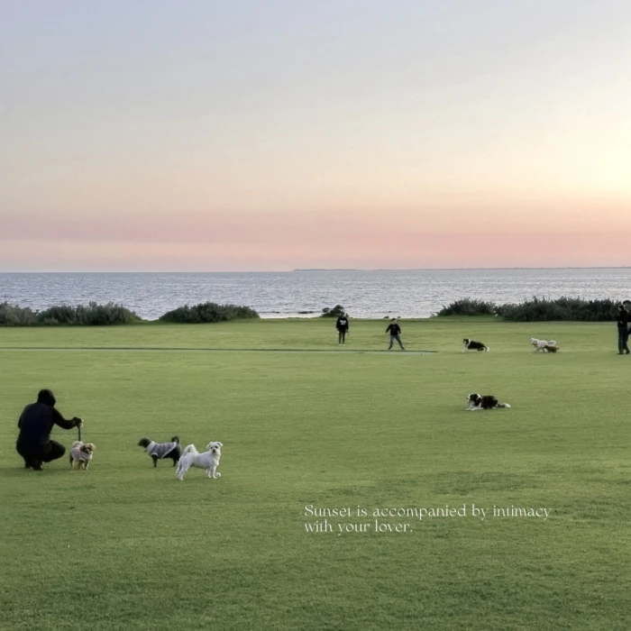 每个日夜的转换 想念盘根枝节 后来如大海的眼泪般涌来