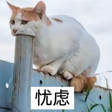 猫猫表情包