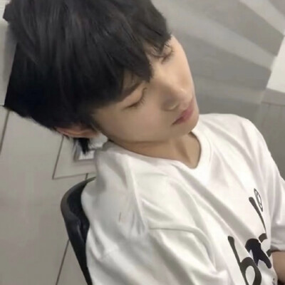 猪
