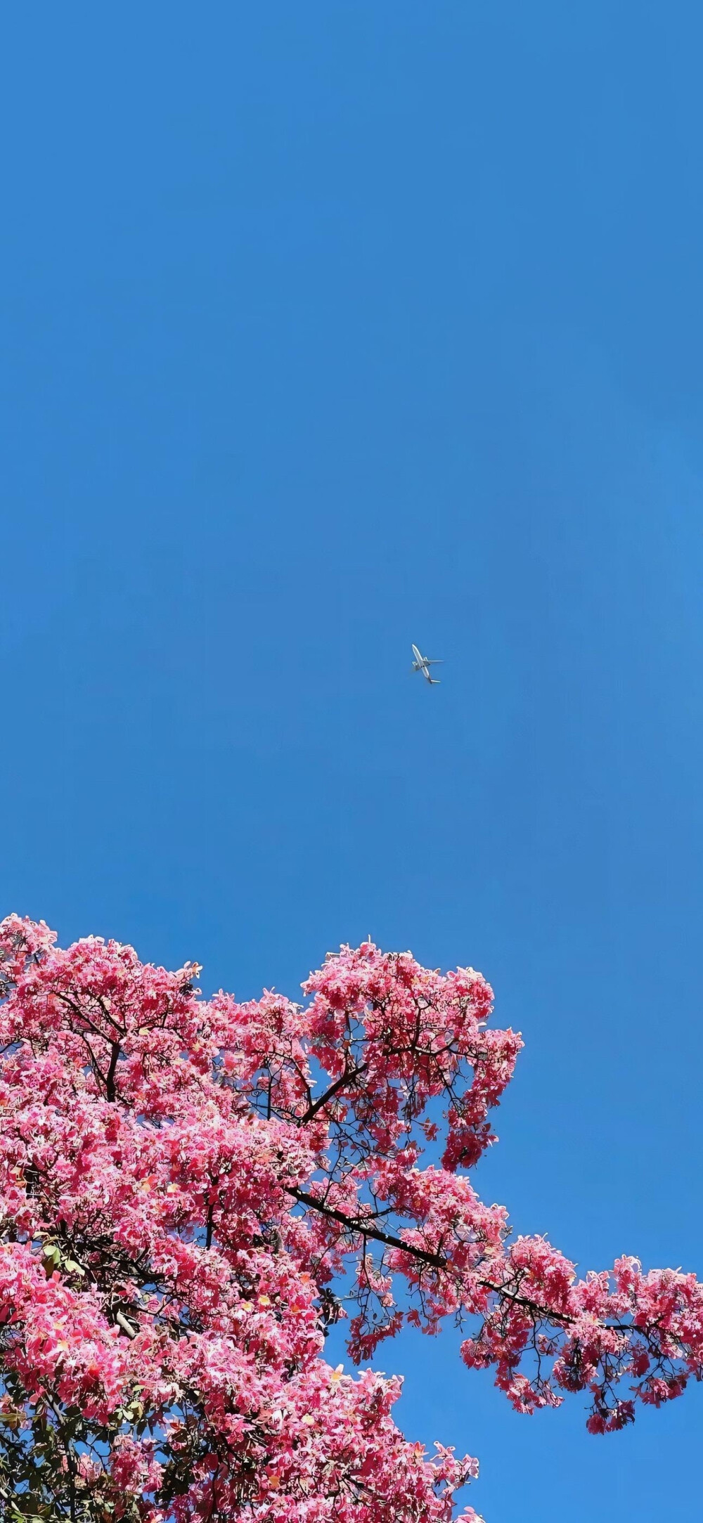 高清壁纸