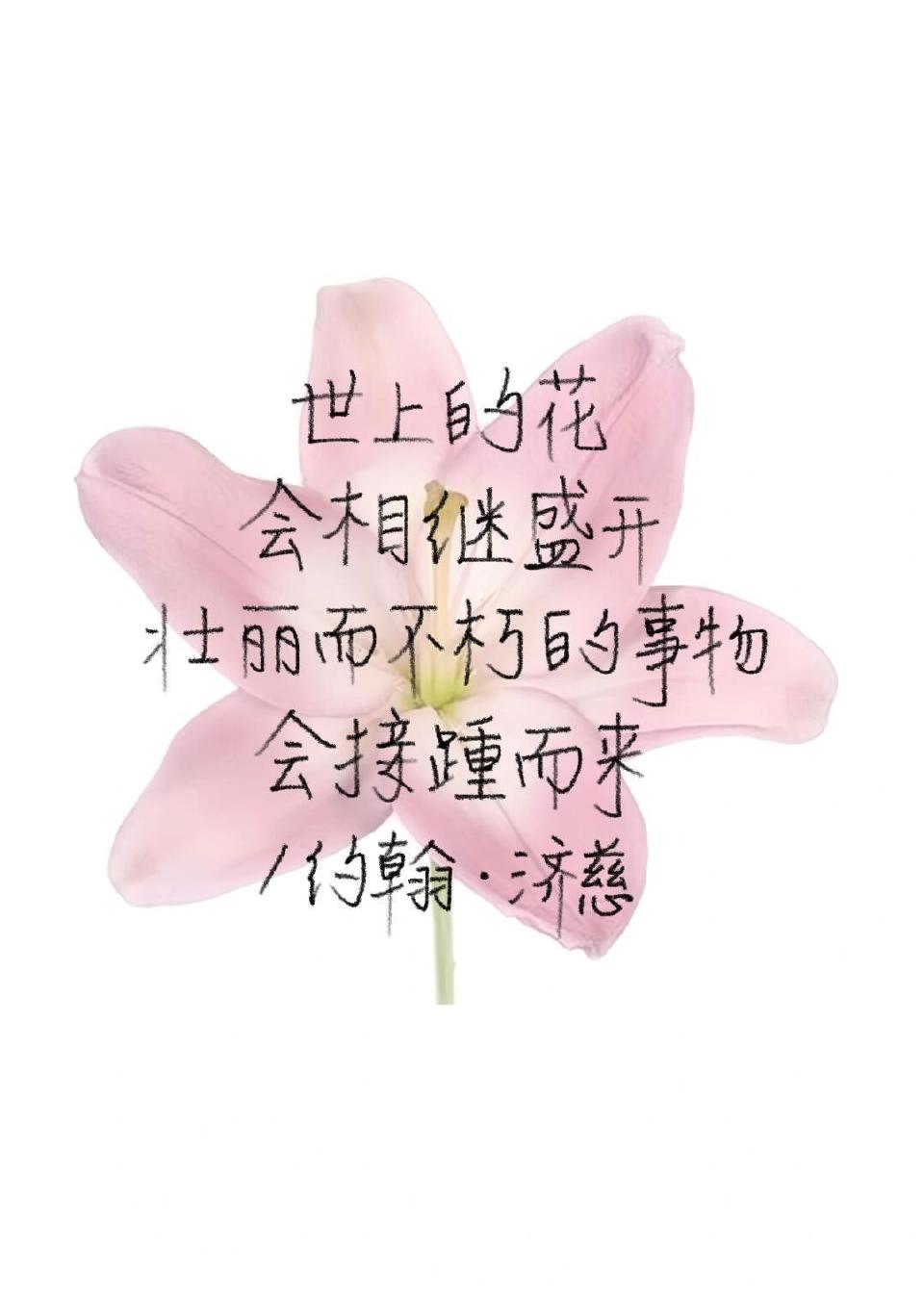 一些些手写＃文字＃记录