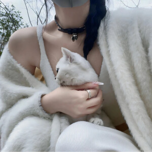 部位女头