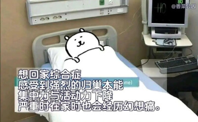 自嘲熊