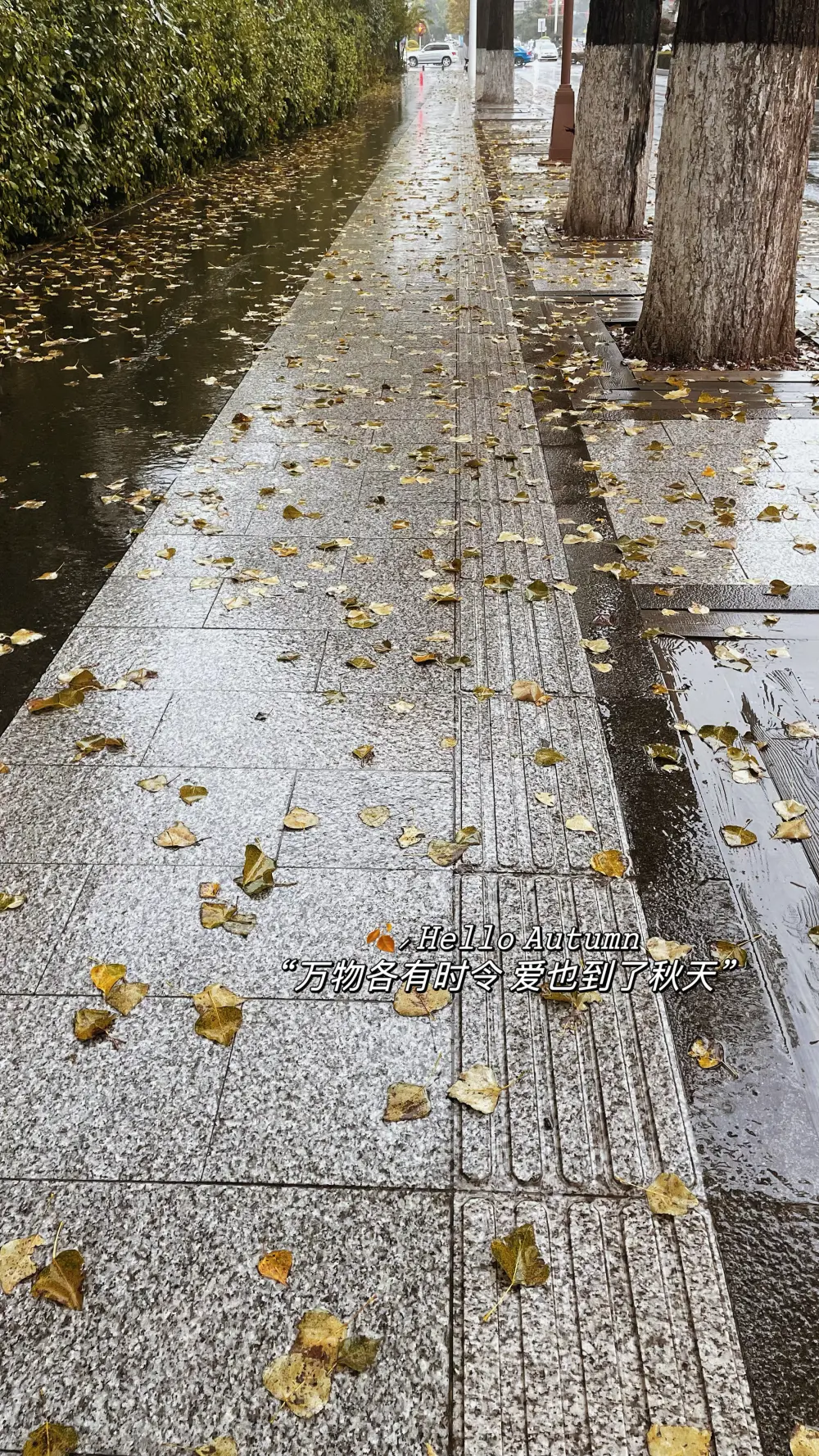 秋天- 高清图片,堆糖,美图壁纸兴趣社区