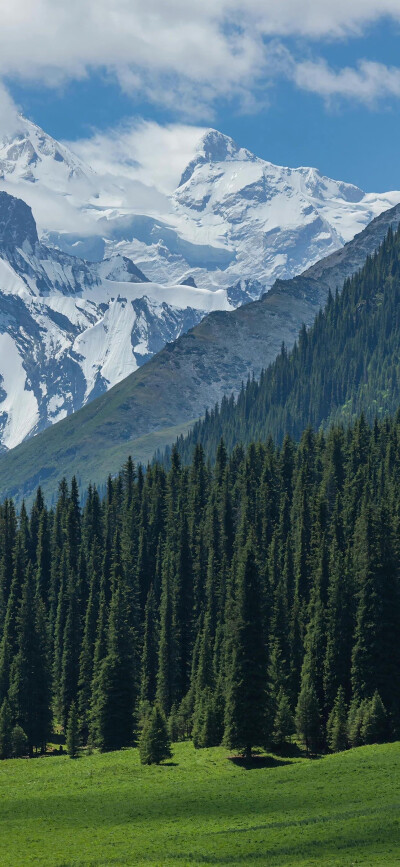 风景