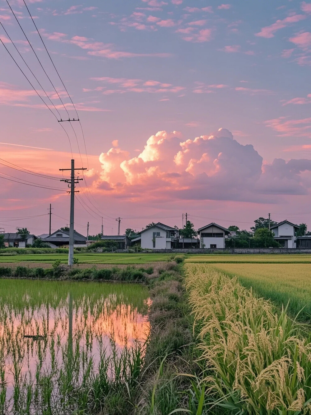 乡村…一种舒适的慢生活……让人宁静慵懒…