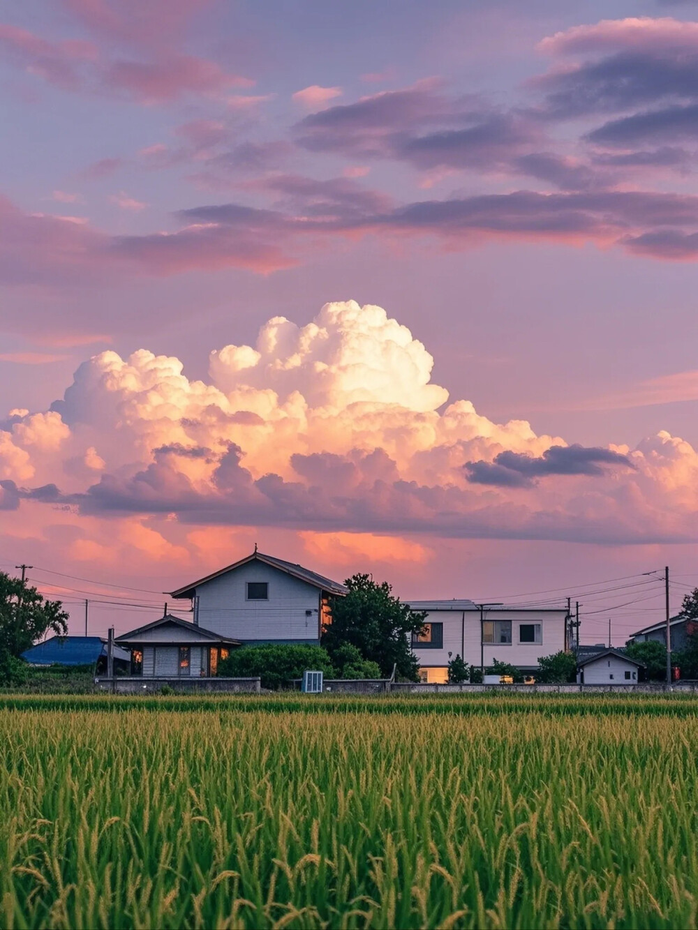 乡村…一种舒适的慢生活……让人宁静慵懒…