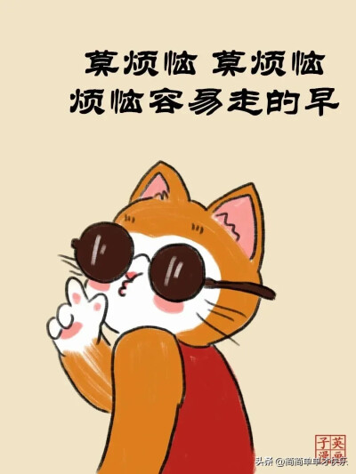 可爱帽猫咪文字