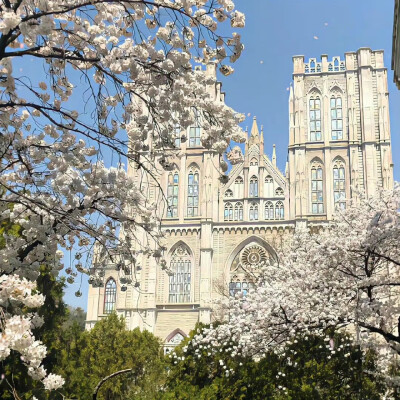 花的背景图