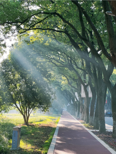 光的背景图 绿色系背景图
图源小红薯：941838973