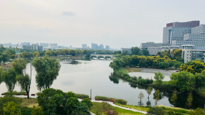 湖景