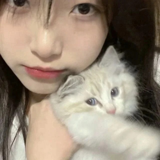 抱猫头像♡几寻