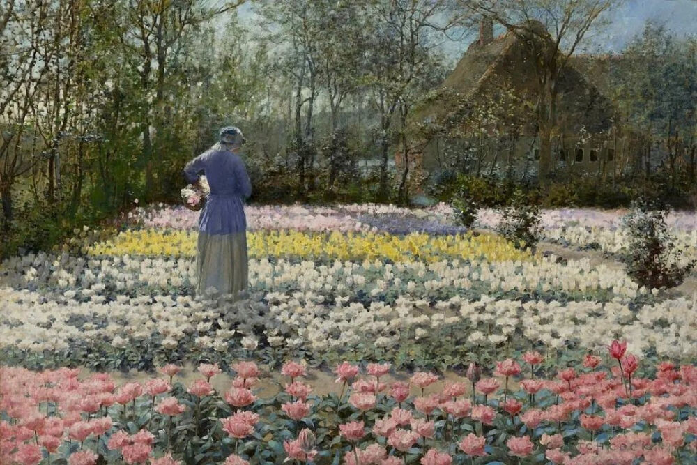 Tulip Culture,1889