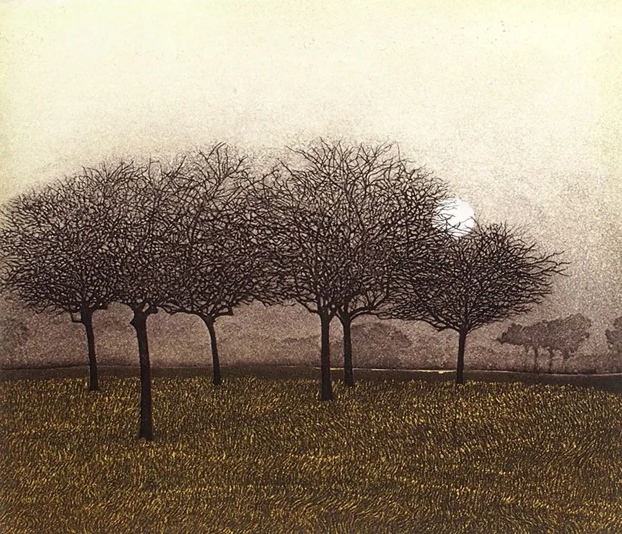 Winter Copse，冬季的小树林